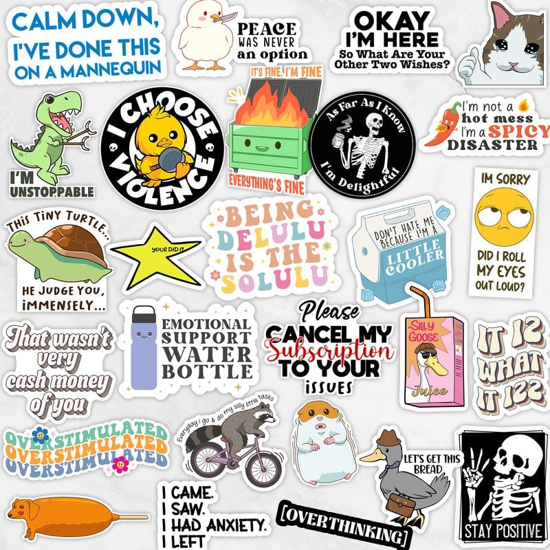 130 PCS of Funny Stickers for Women, Hilariou Quotes Meme Sticker Pack for Laptop