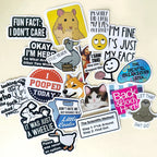 130PCS Funny Saying Sticker Pack - Snarky, Sarcastic Bold Humor Vinyl Waterproof Meme stickers