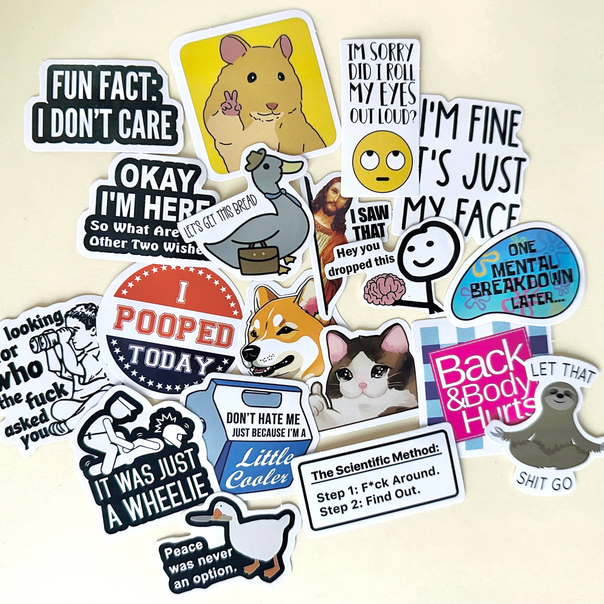 130PCS Funny Saying Sticker Pack - Snarky, Sarcastic Bold Humor Vinyl Waterproof Meme stickers